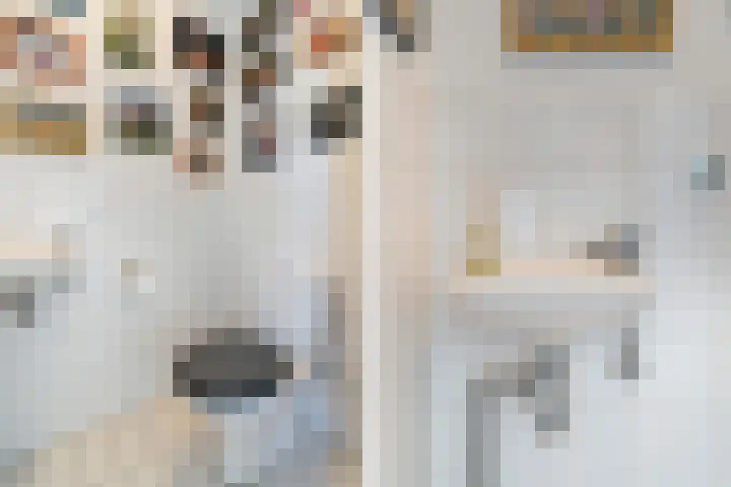 Zwanebloemstraat 28 Berkel en Rodenrijs thumbnail 8