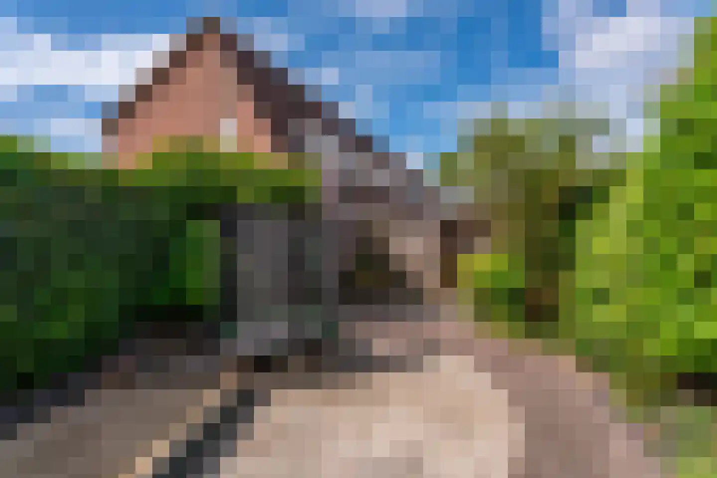 Zwanebloemstraat 35 Voorhout thumbnail 36