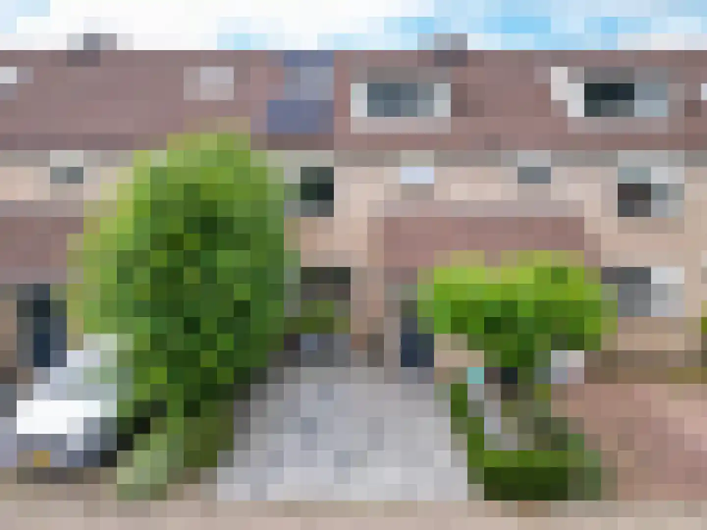 Zwanebloemstraat 35 Voorhout thumbnail 40
