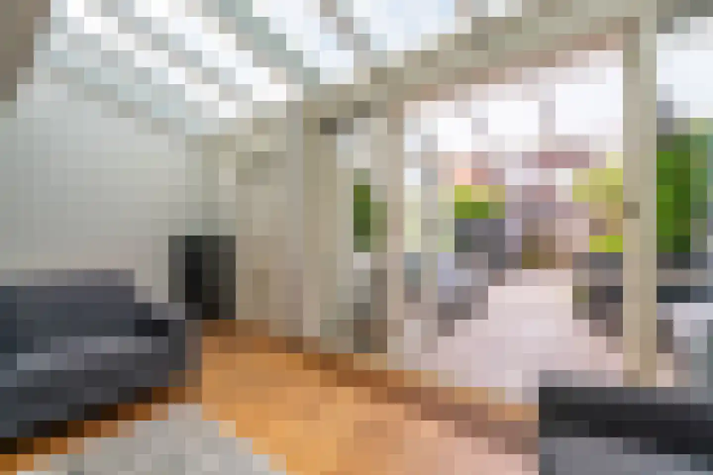 Zwanebloemstraat 35 Voorhout thumbnail 9