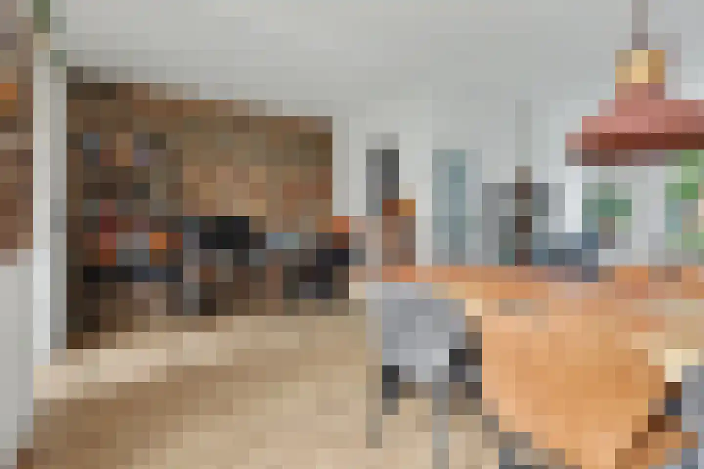 Zwanebloemstraat 4 Almelo thumbnail 10