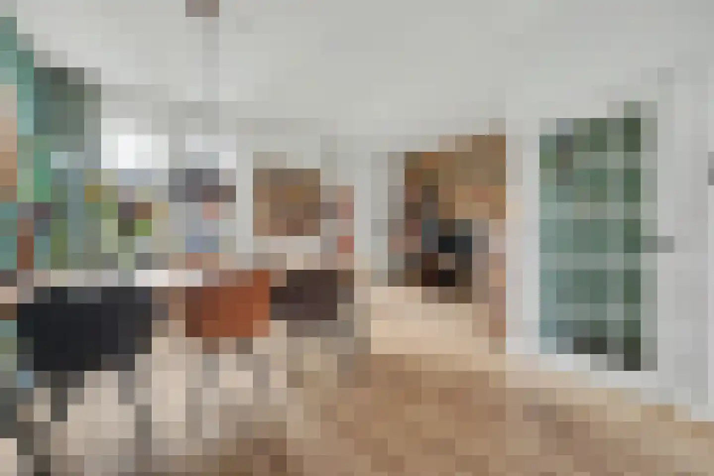 Zwanebloemstraat 4 Almelo thumbnail 12