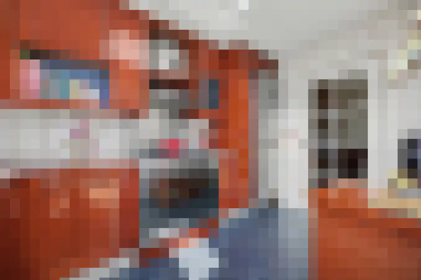 Zwanebloemstraat 4 Almelo thumbnail 14