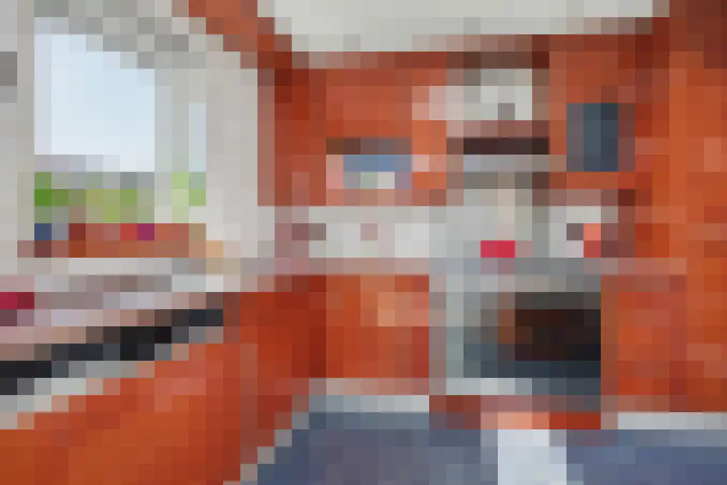 Zwanebloemstraat 4 Almelo thumbnail 15