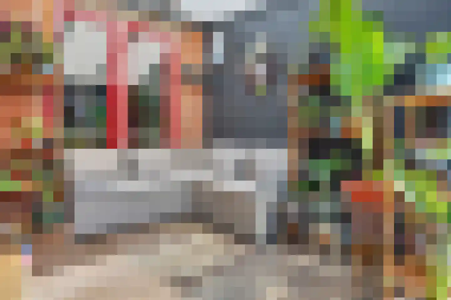 Zwanebloemstraat 4 Almelo thumbnail 27
