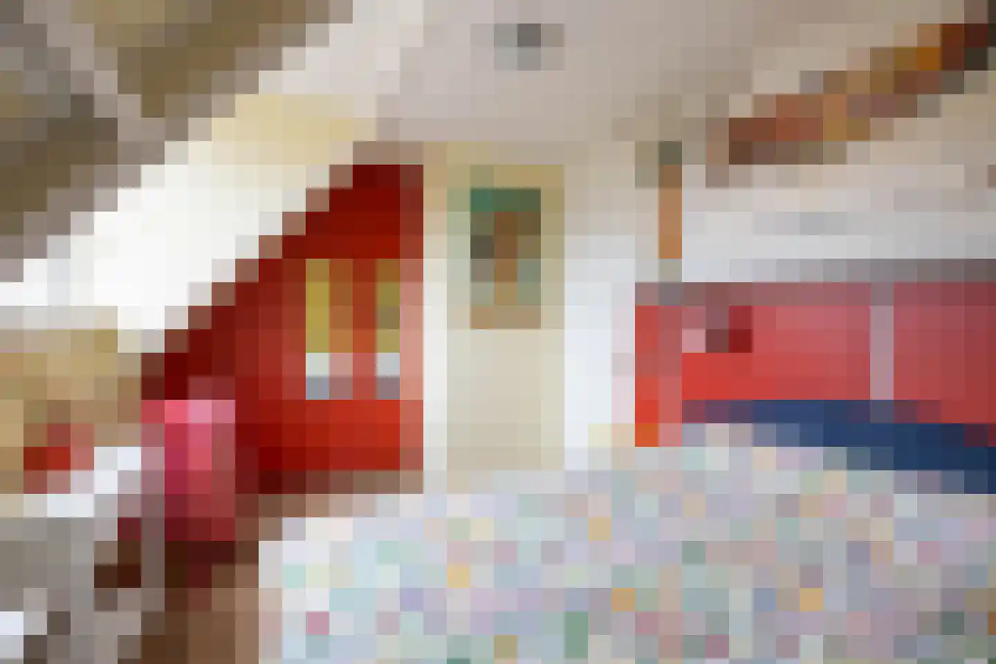 Zwanebloemstraat 47 Almelo thumbnail 15