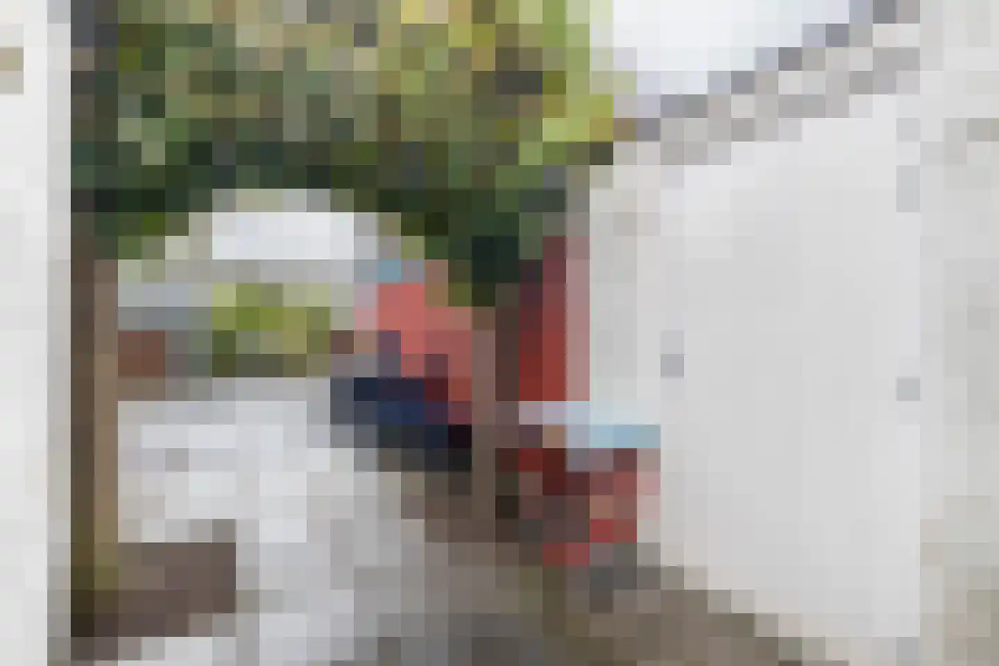 Zwanebloemstraat 47 Almelo thumbnail 20