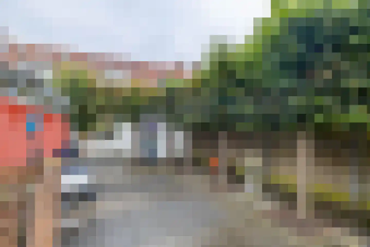 Zwanebloemstraat 47 Almelo foto 3