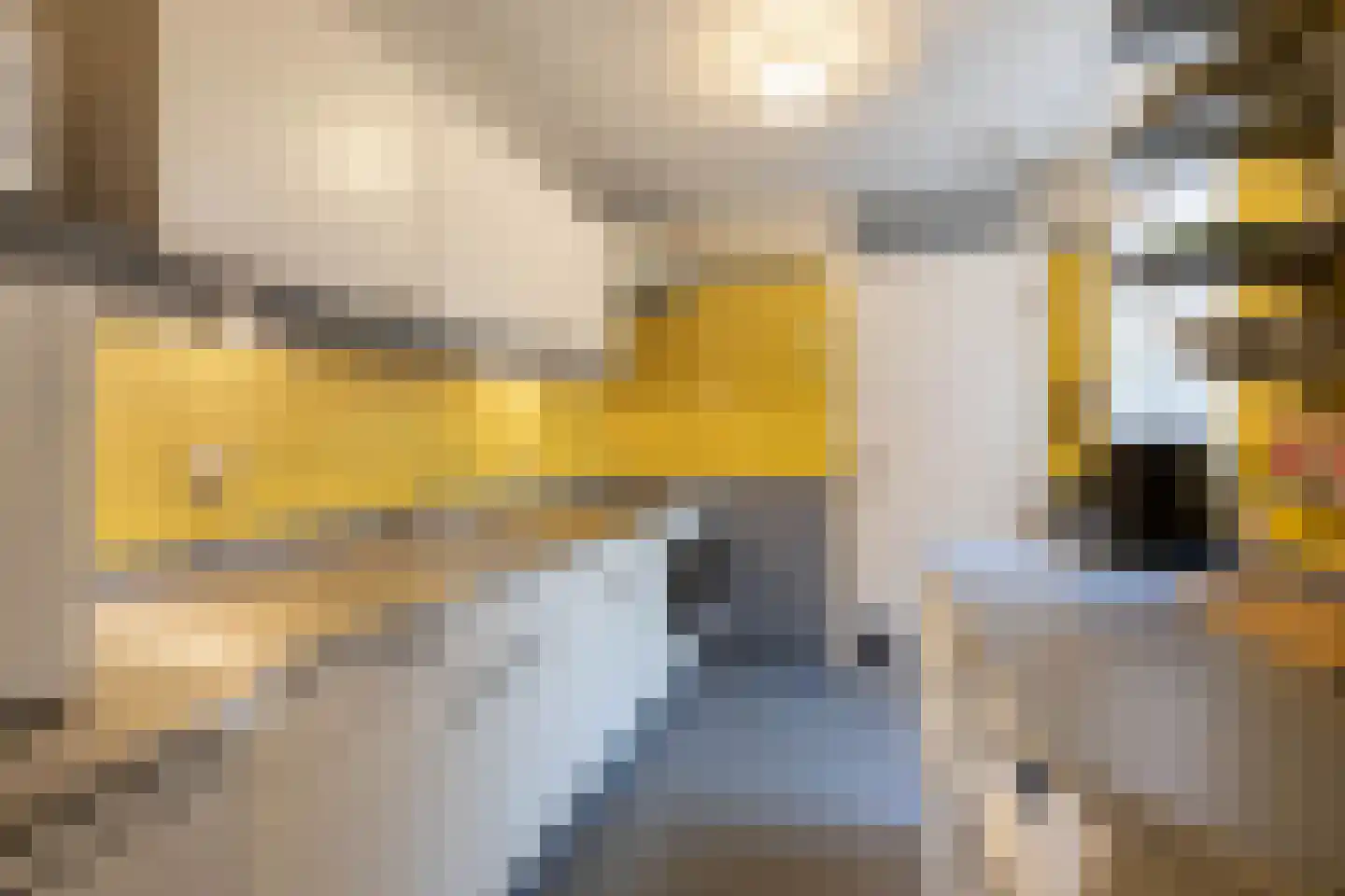 Zwanebloemstraat 47 Almelo thumbnail 8