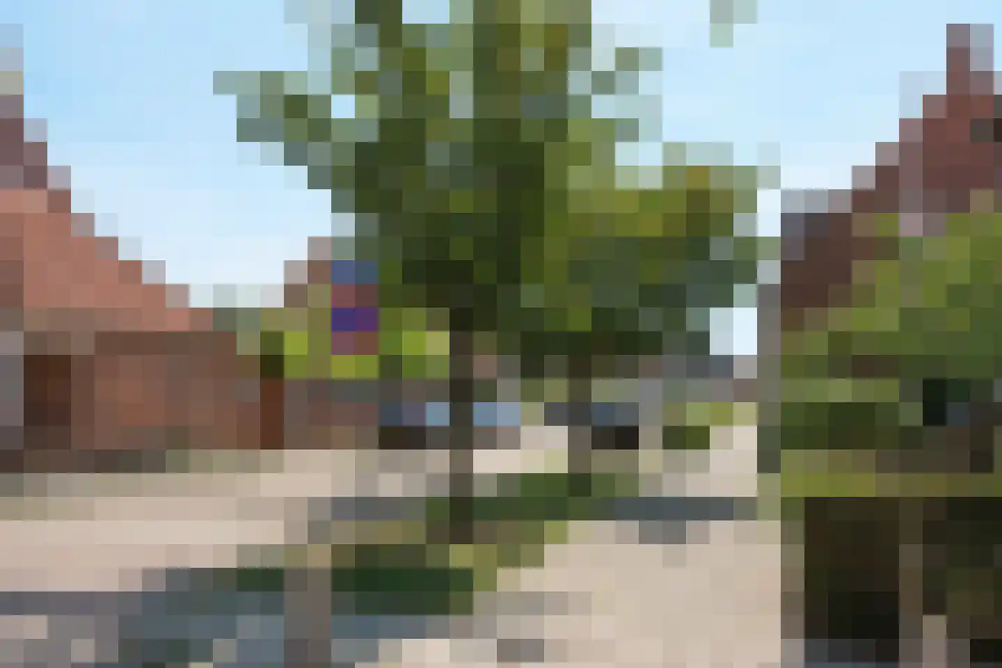 Zwanebloemstraat 54 Almelo thumbnail 18