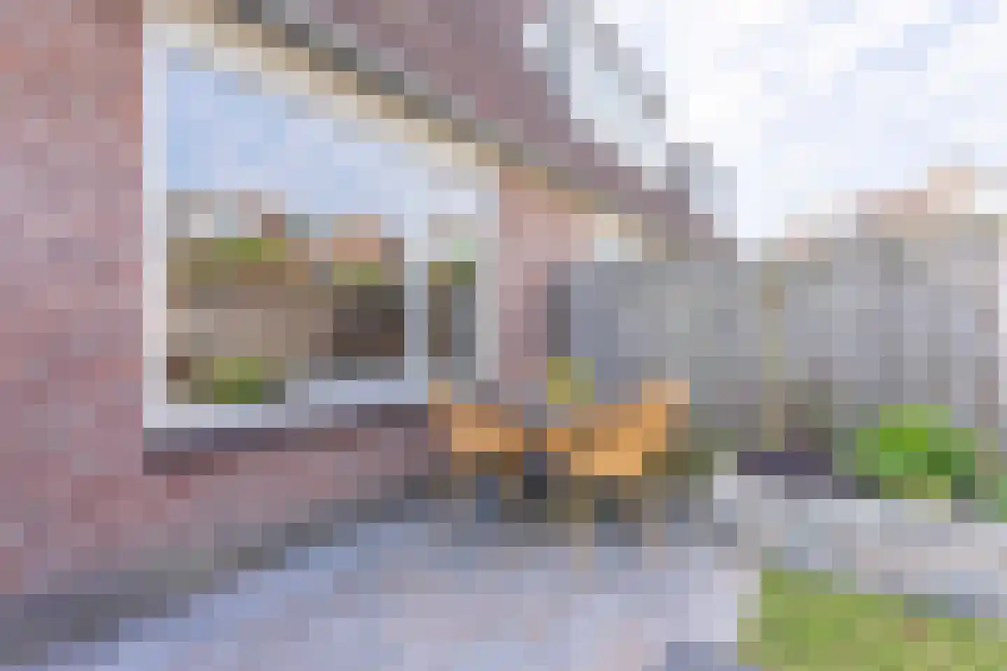 Zwanebloemstraat 6 Voorhout thumbnail 31