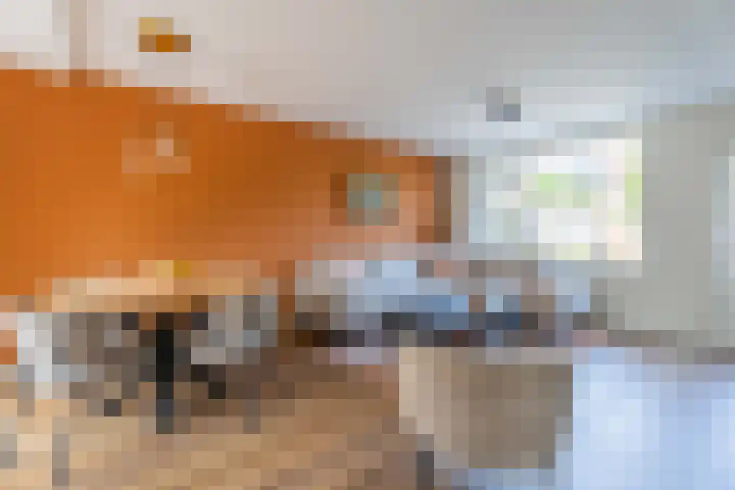 Zwanebloemstraat 6 Voorhout thumbnail 4