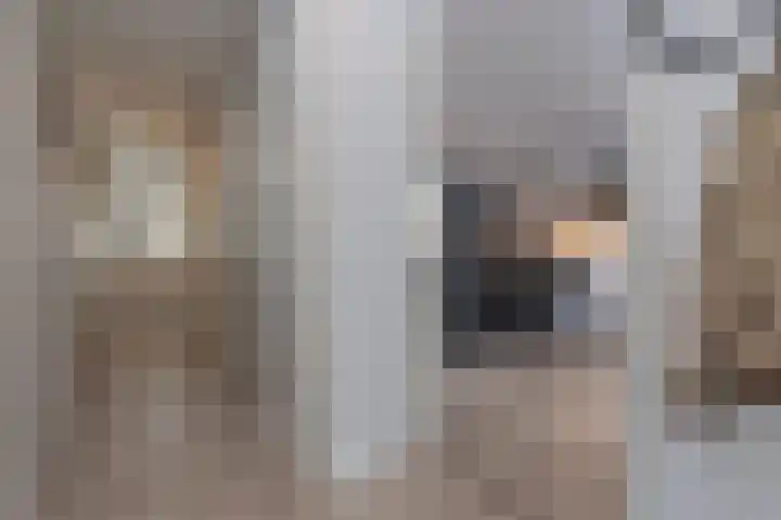 Zwanebloemweg 27 Kudelstaart thumbnail 13