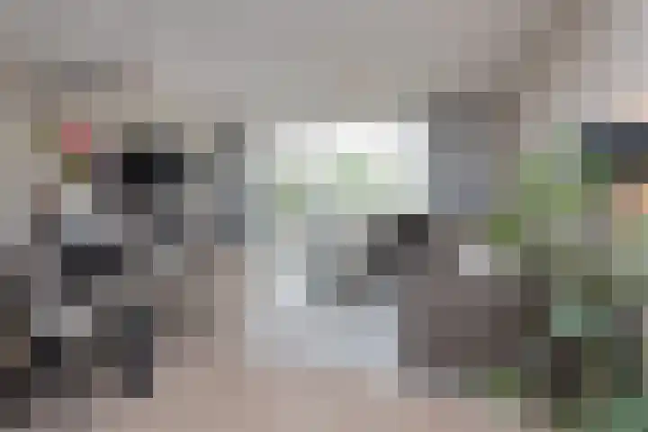 Zwanebloemweg 27 Kudelstaart thumbnail 7