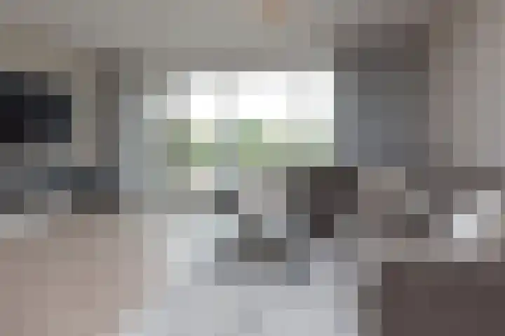 Zwanebloemweg 27 Kudelstaart thumbnail 8