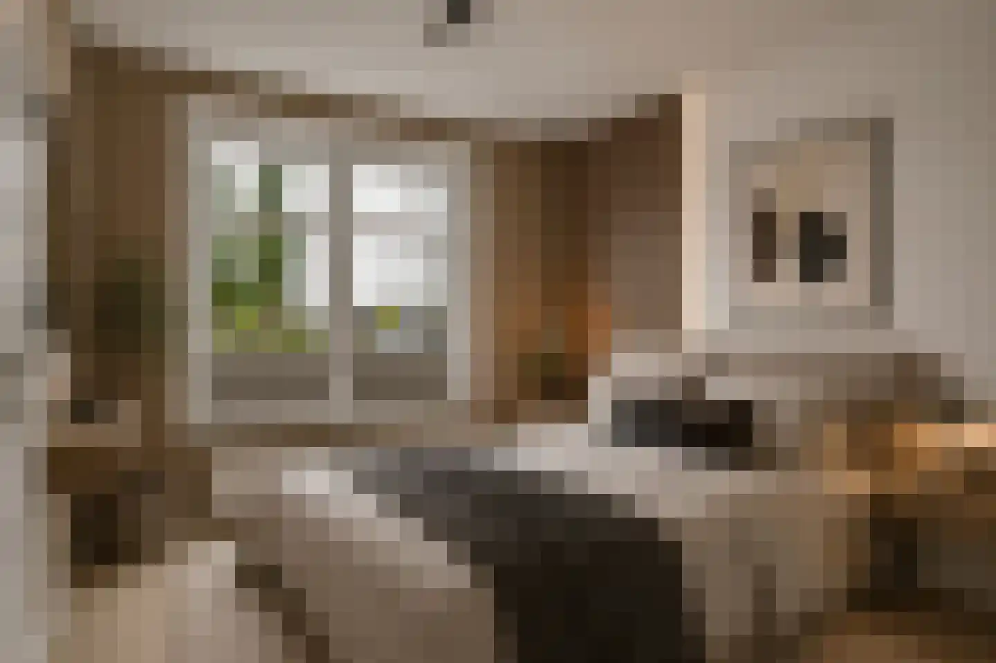 Zwanebloemweg 34 Kudelstaart thumbnail 5