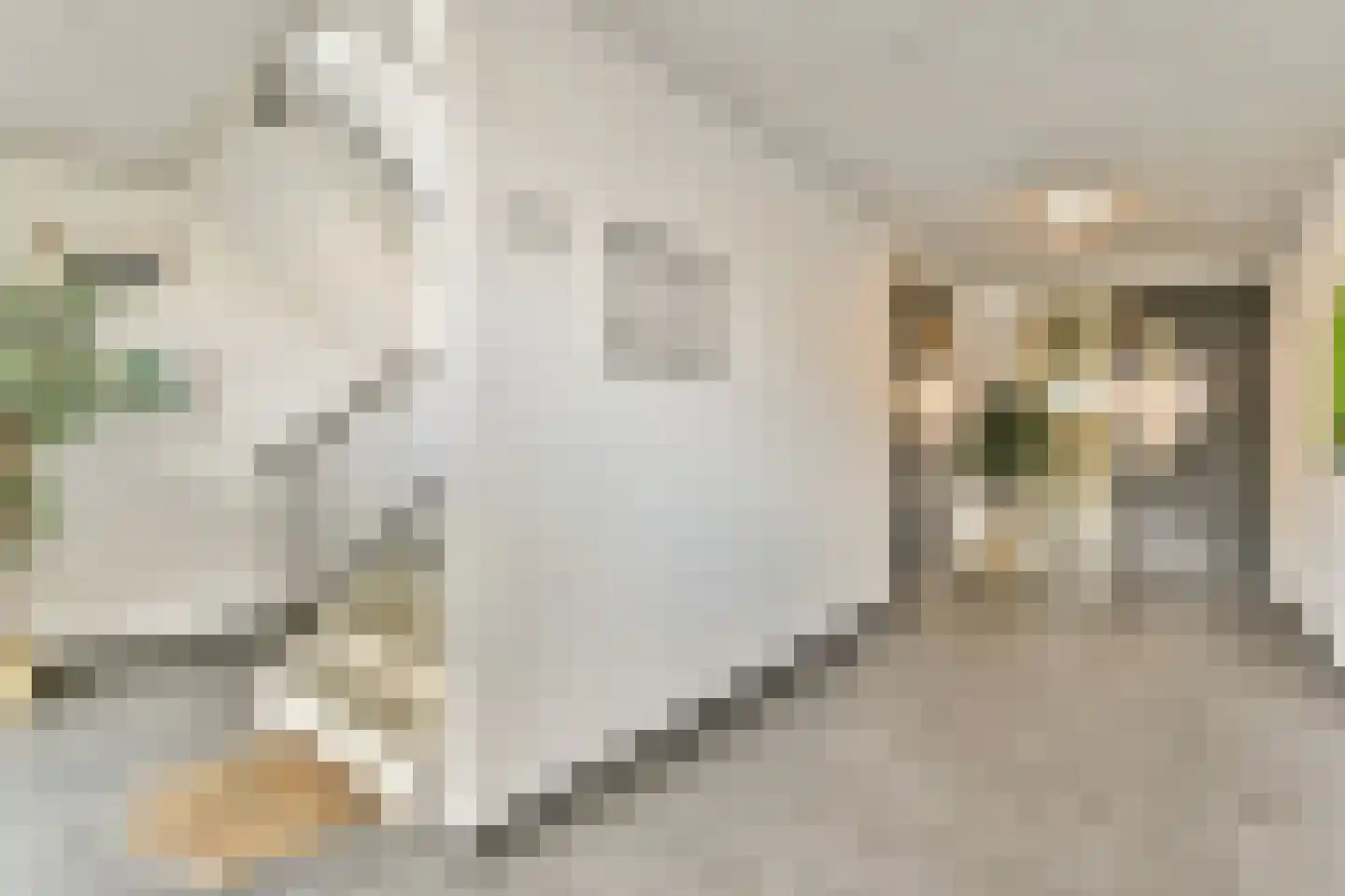 Zwanebloemweg 37 Kudelstaart thumbnail 17