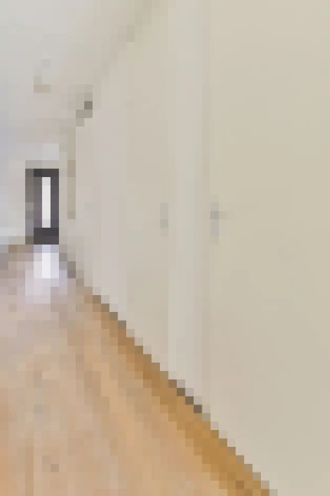 Zwanebloemweg 37 Kudelstaart thumbnail 9