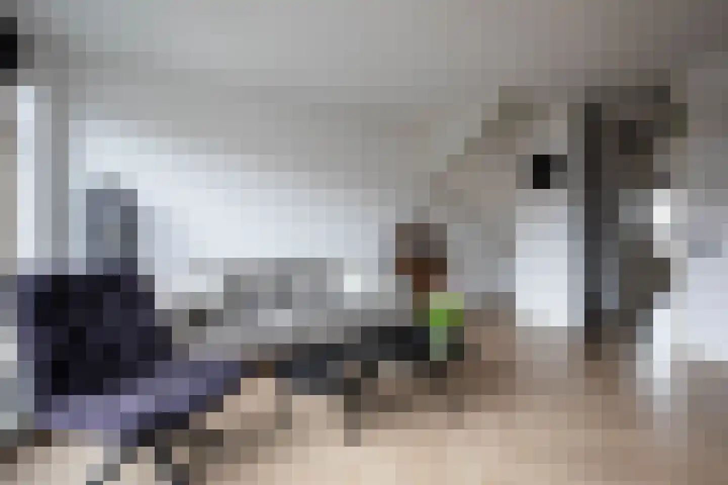 Zwanebloemweg 44 Kudelstaart thumbnail 12