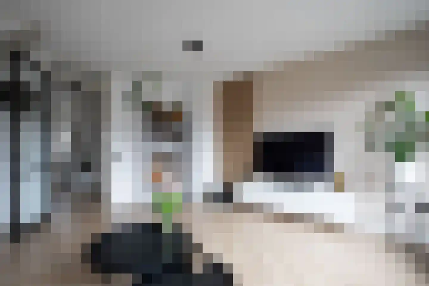 Zwanebloemweg 44 Kudelstaart thumbnail 13