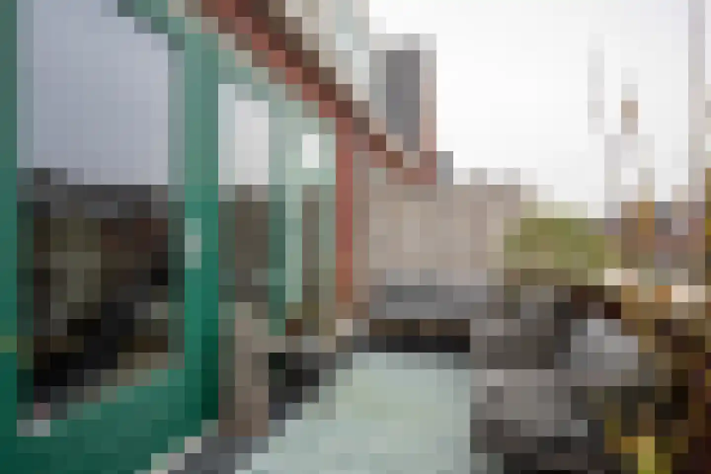 Zwanebloemweg 44 Kudelstaart thumbnail 15