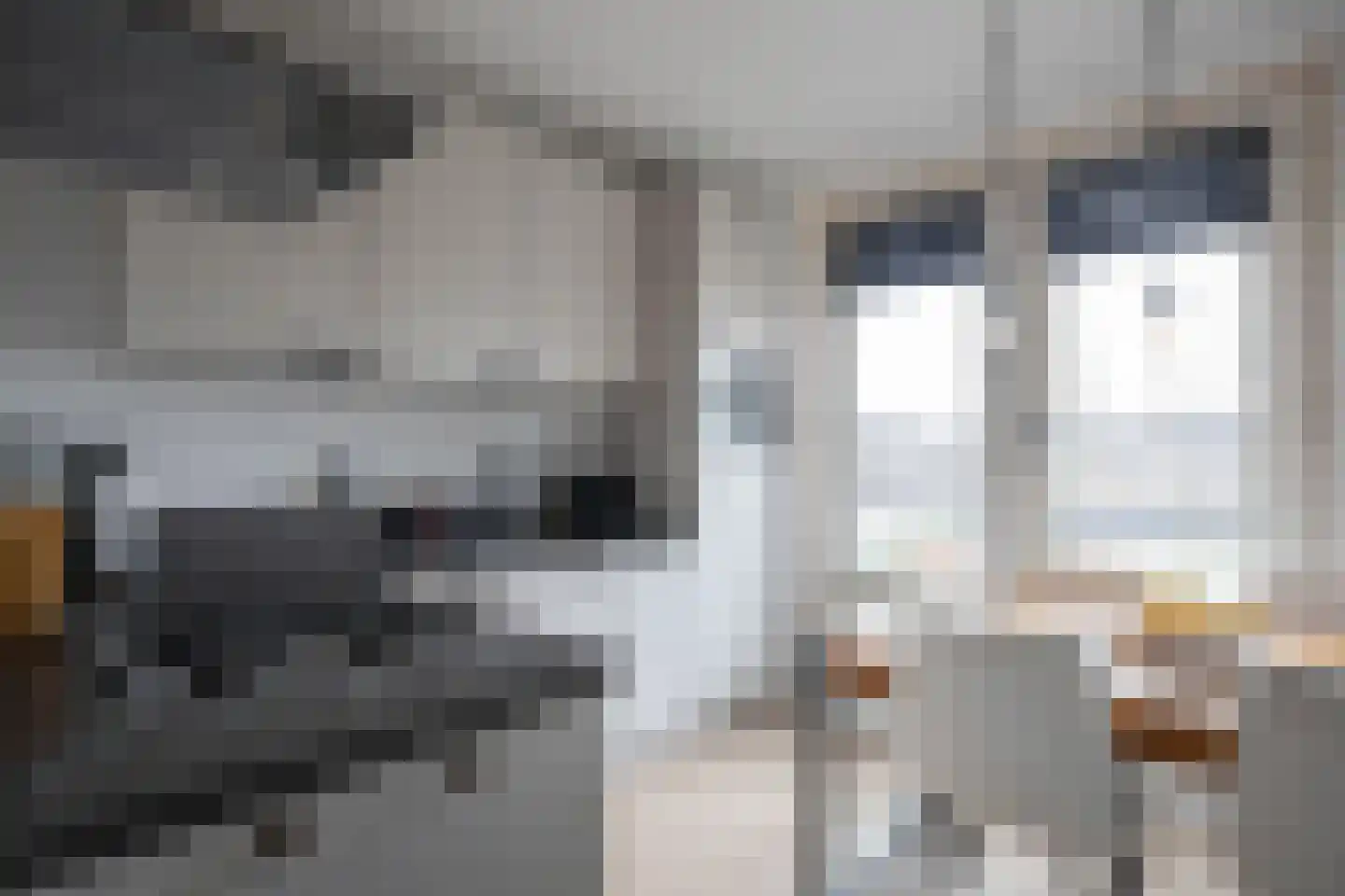 Zwanebloemweg 44 Kudelstaart thumbnail 16
