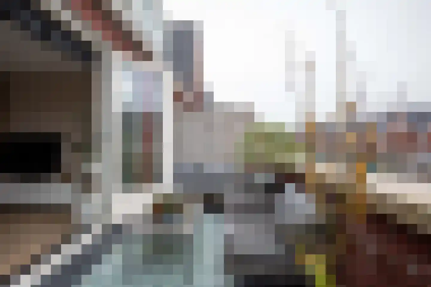 Zwanebloemweg 44 Kudelstaart thumbnail 4