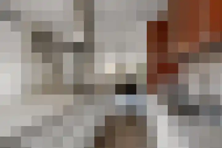 Zwanebloemweg 76 Kudelstaart thumbnail 11