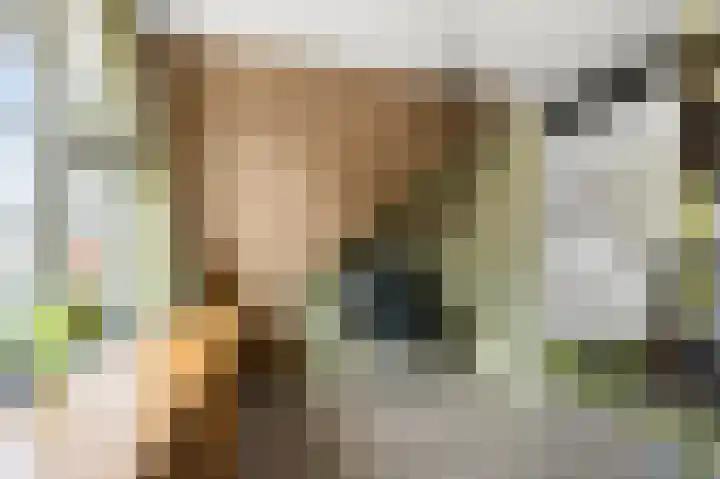 Zwanebloemweg 76 Kudelstaart thumbnail 27
