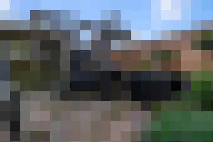 Zwanebloemweg 76 Kudelstaart thumbnail 36