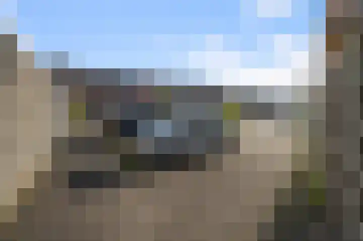 Zwanebloemweg 76 Kudelstaart thumbnail 38