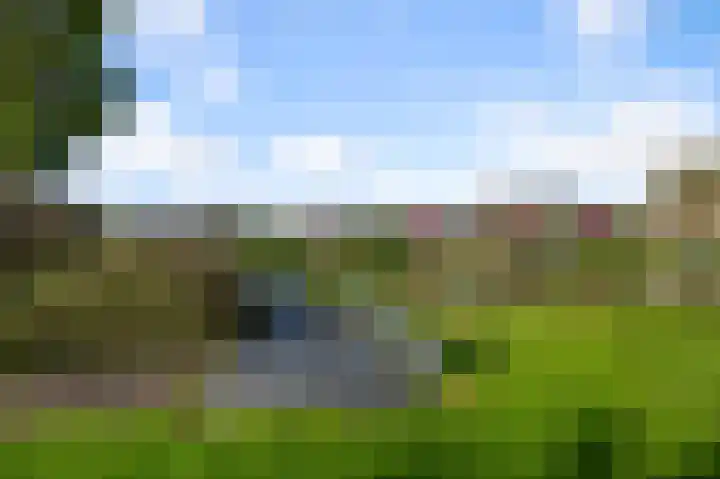 Zwanebloemweg 76 Kudelstaart thumbnail 43