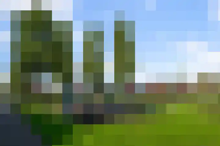 Zwanebloemweg 76 Kudelstaart thumbnail 44