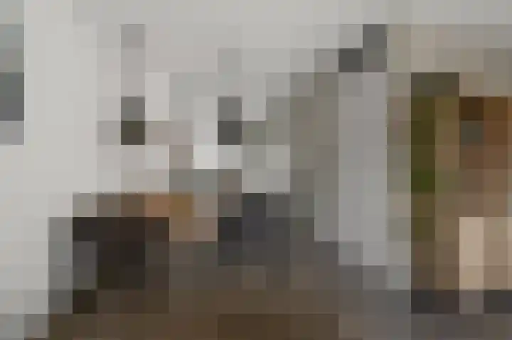Zwanebloemweg 76 Kudelstaart thumbnail 7