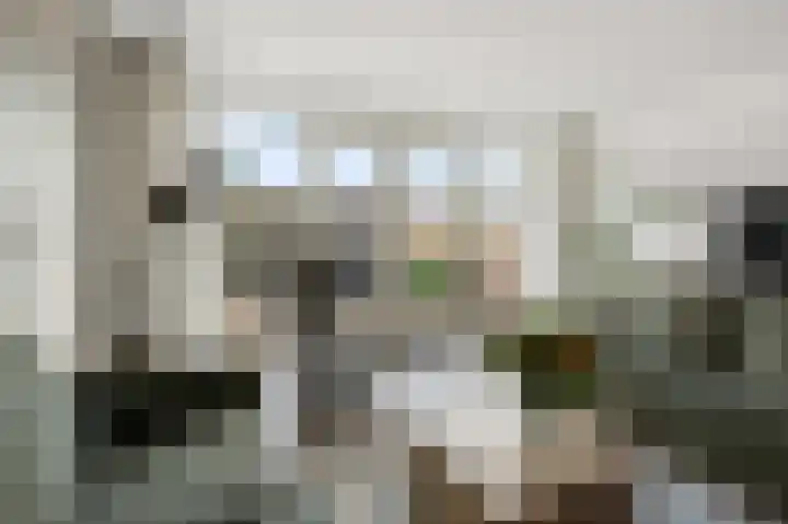Zwanebloemweg 76 Kudelstaart thumbnail 8