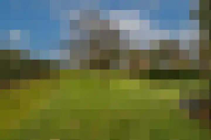 Zwanegatsedijk 10 Maasdam thumbnail 10