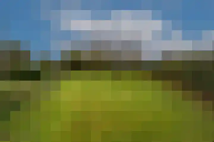 Zwanegatsedijk 10 Maasdam thumbnail 11
