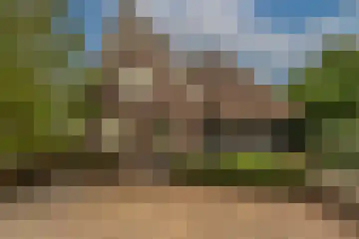 Zwanegatsedijk 10 Maasdam thumbnail 12
