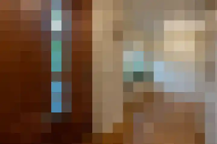 Zwanegatsedijk 10 Maasdam thumbnail 13