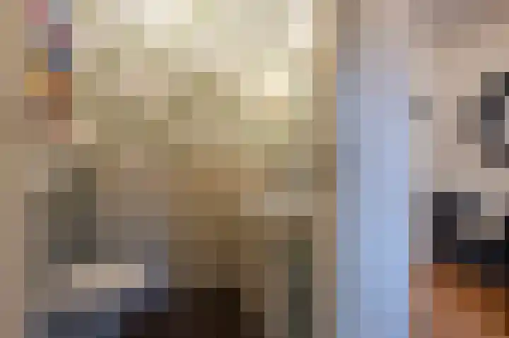 Zwanegatsedijk 10 Maasdam thumbnail 14