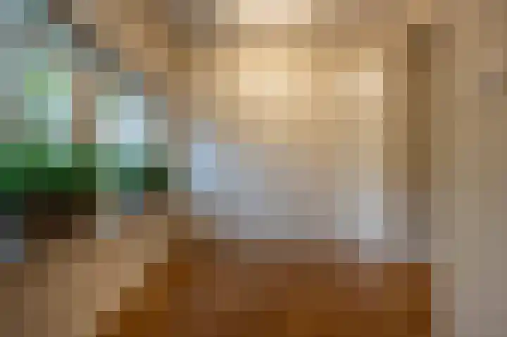 Zwanegatsedijk 10 Maasdam thumbnail 15
