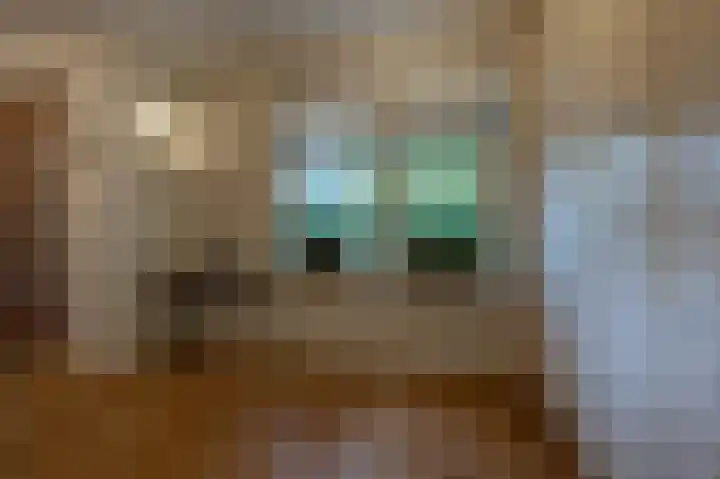 Zwanegatsedijk 10 Maasdam thumbnail 16