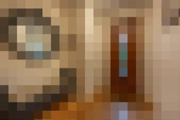Zwanegatsedijk 10 Maasdam thumbnail 17