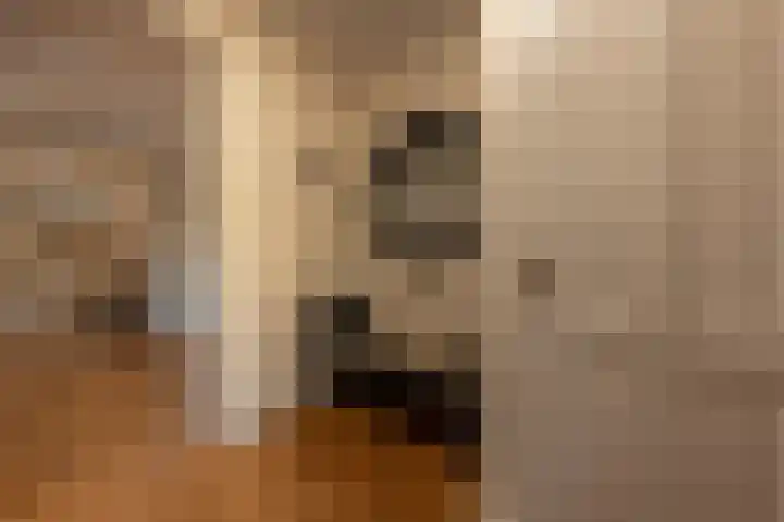 Zwanegatsedijk 10 Maasdam thumbnail 18