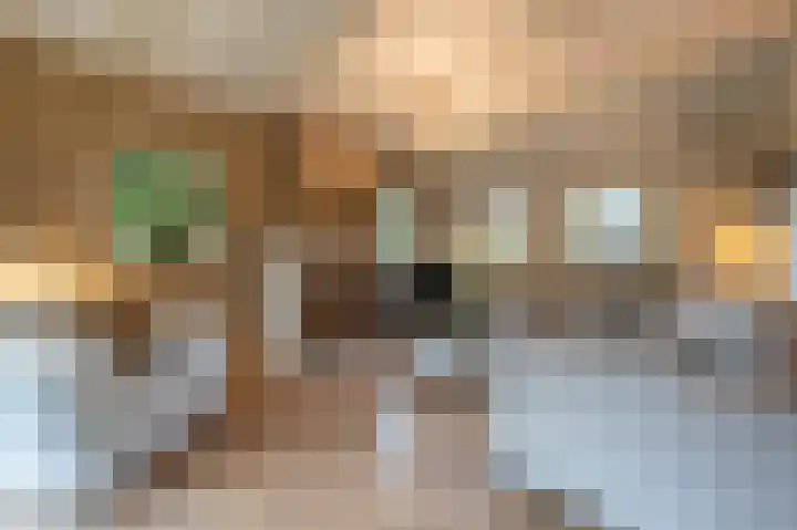 Zwanegatsedijk 10 Maasdam thumbnail 19