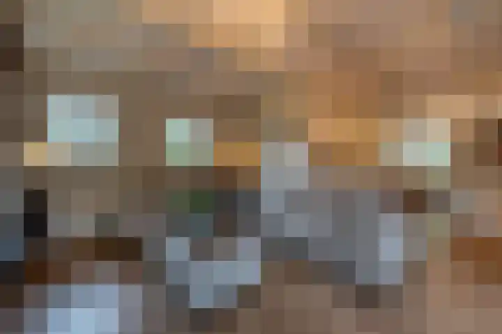 Zwanegatsedijk 10 Maasdam thumbnail 20
