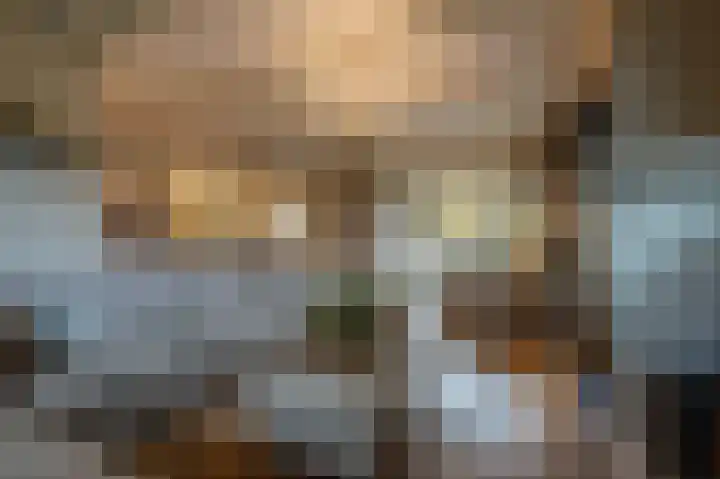 Zwanegatsedijk 10 Maasdam thumbnail 21