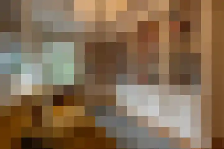 Zwanegatsedijk 10 Maasdam thumbnail 22