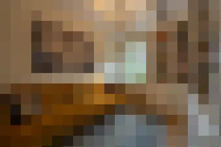 Zwanegatsedijk 10 Maasdam thumbnail 23