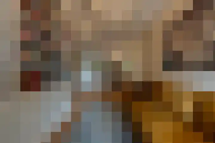 Zwanegatsedijk 10 Maasdam thumbnail 24